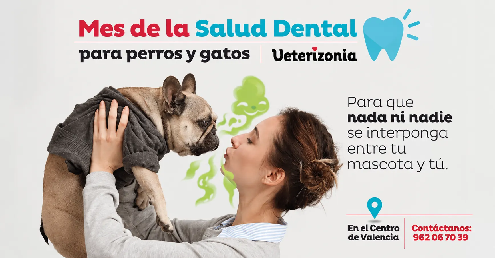 Salud bucodental para perros y gatos en Veterizonia Valencia